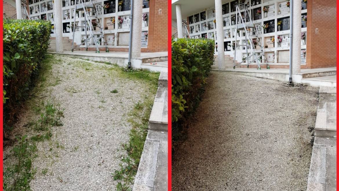 Devitalizzazione di infestanti spontanee in aree pubbliche senza l’impiego di prodotti chimici. 