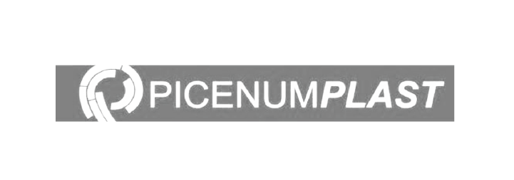 picenumplast