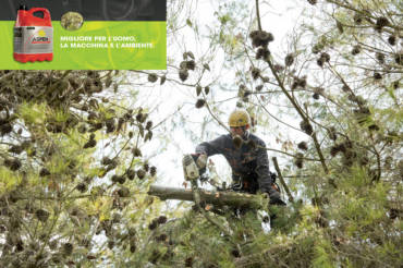 Curare il nostro VERDE significa anche Pensare VERDE.